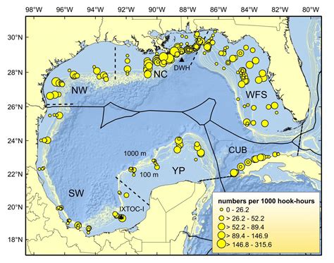 Assessing Marine Life, 8 Yrs. After Massive Gulf-of-Mexico Oil Spill | American Council on ...