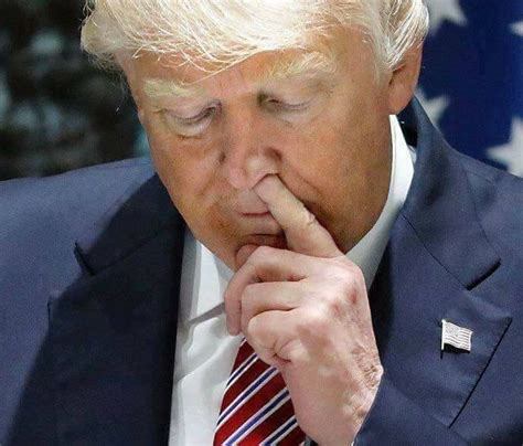 trump picking nose Blank Template - Imgflip