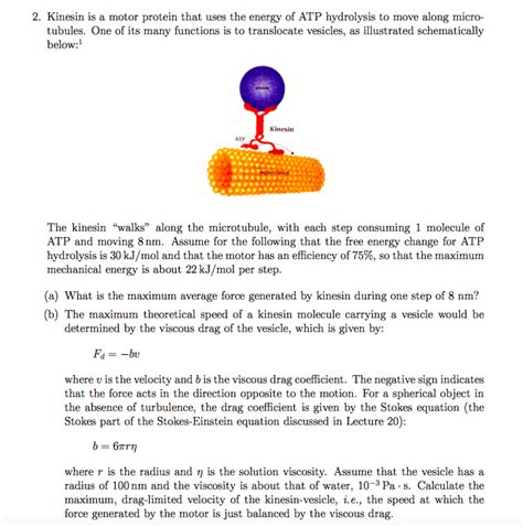 Solved 2. Kinesin is a motor protein that uses the energy of | Chegg.com