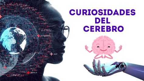 Curiosidades del Cerebro Humano ¡Te Sorprenderás! - Hospital y Clinicas ...