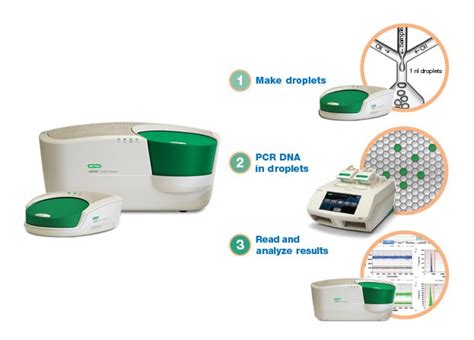 Droplet Digital PCR (ddPCR) Technology | Biomedical and Molecular Sciences | School of Medicine ...