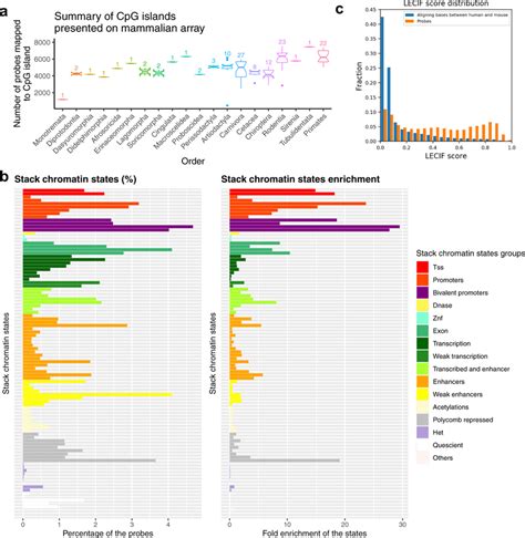 CpG island and chromatin state analysis of mammalian methylation ...