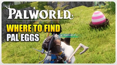 Palworld - How to find Palworld Eggs (27 EGG LOCATIONS) - YouTube