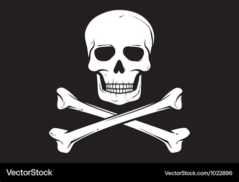 Pirate flag Royalty Free Vector Image - VectorStock