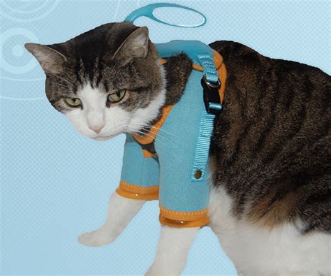 Cat Nail Trimming Restraint, adjustable, plus FREE case, From Healthy Kitty - Grooming