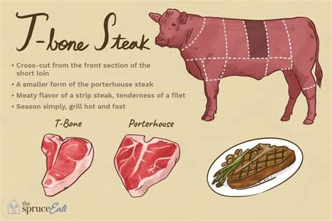 What Is T-bone Steak?