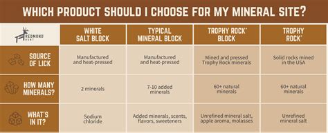 Salt Block for Deer, Mineral Block, or Mined Rock?