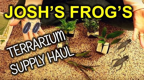 Josh's Frogs Unboxing Crickets Isopods And Live Plants - YouTube