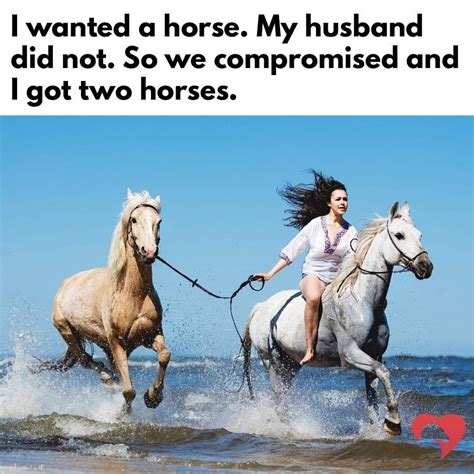 Hilarious Horse Memes - Funny Memes