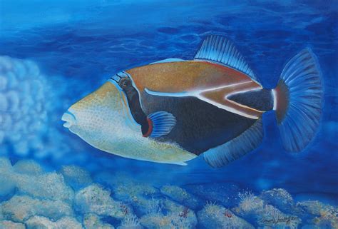 Humuhumunukunukuapua'a Painting by Coreen Wasilkoff