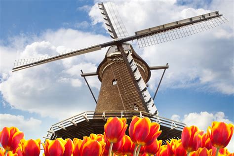 Tulips & Windmills River Cruise - The Netherlands & Belgium 2024