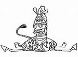 Zebra Coloring Pages  For Kids And Adults sketch template