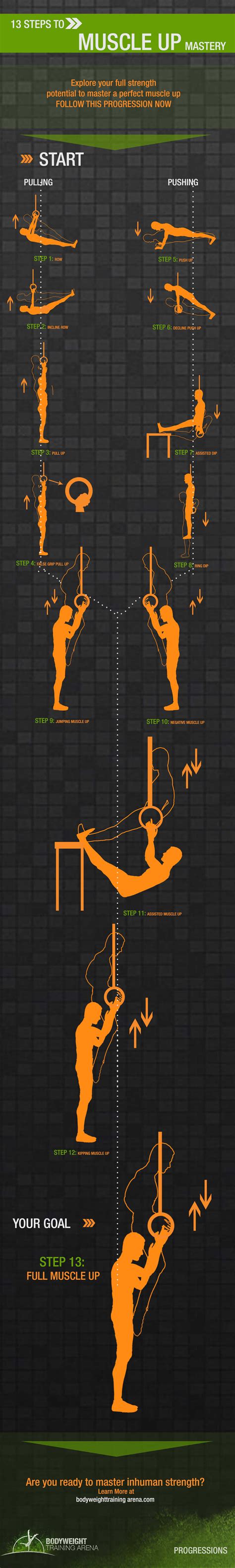 Muscle Up Progression Bodyweight Training Arena