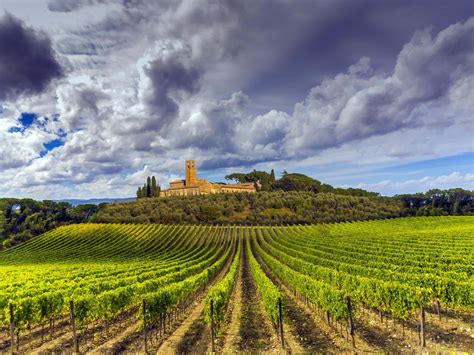 Download The Tuscany Vineyard Wallpaper | Wallpapers.com