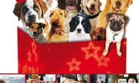 The 12 Dogs of Christmas - Where to Watch and Stream Online – Entertainment.ie