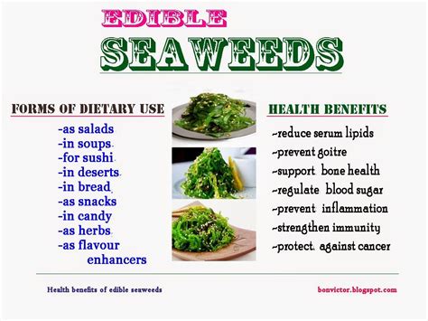 Top 10 Edible Varieties Of Seaweed | Edible seaweed, Healthy eating, Edible