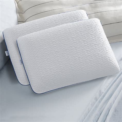 Sleep Innovations Forever Cool Gel Memory Foam Standard Pillow with ...