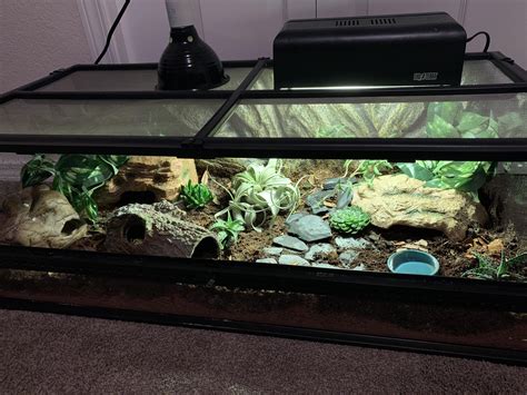 New Bioactive setup for mochi (leopard gecko)! I knew I wanted to ...