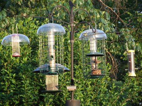 These feeders all have cages that you put on to keep squirrels and ...