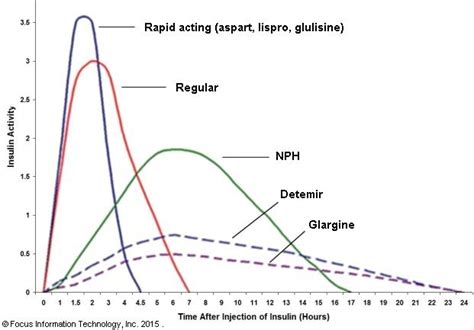 N165- Exam 2 Drugs- Insulin Onset, Peak, and Duration Diagram | Quizlet