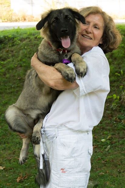 Jena's Karst Shepherd Puppies