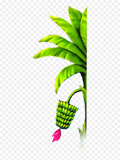 Green Plant with Pink Flowers - Banana Tree PNG