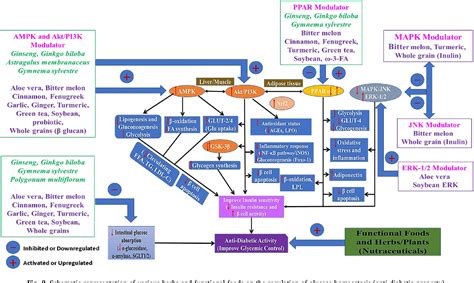 Figure 2 from Popular functional foods and herbs for the management of ...