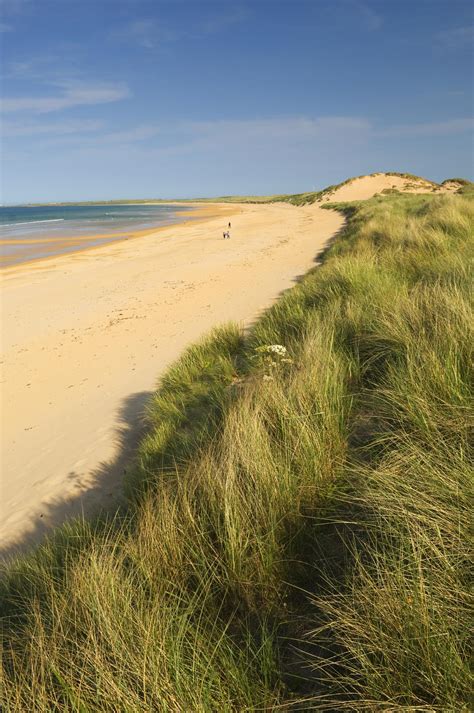 Miles of Sandy Beach & Sand dunes at Fraserburgh Beach