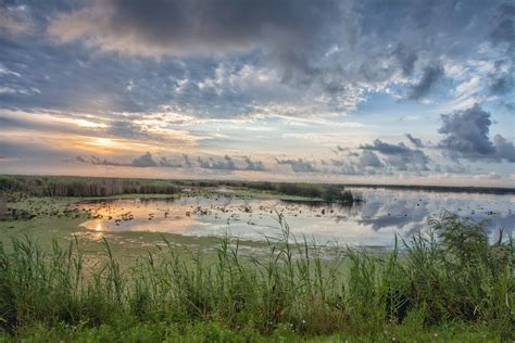 Anahuac National Wild Life Refuge & High Island Rookery on Behance