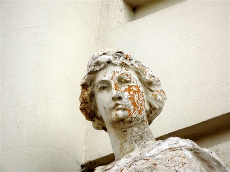 Free picture: baroque, bust, face, heritage, portrait, sculpin, sculpture, statue