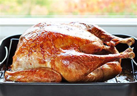 Help! How Do I Cook My Thanksgiving Turkey in a Convection Oven? | Kitchn