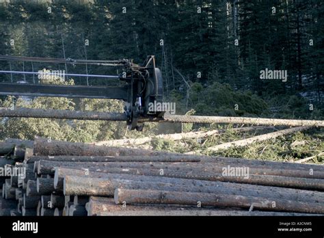 Logging industry Stock Photo - Alamy