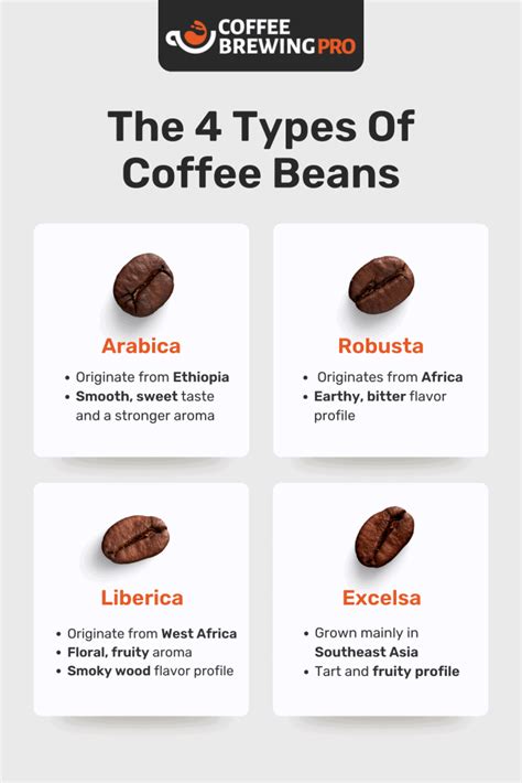 Espresso Beans vs Coffee Beans: What's the Difference?