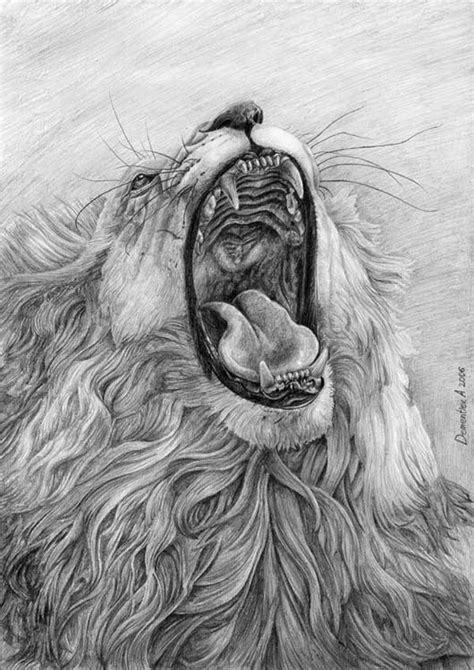 10+ Cool Lion Drawings for Inspiration - Hative Animal Sketches, Animal Drawings, Art Sketches ...