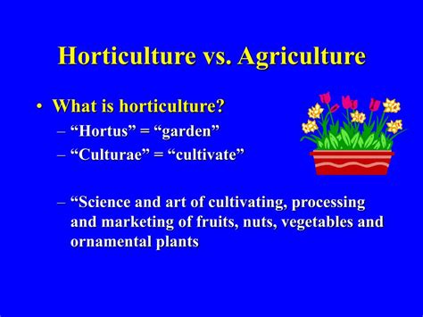 PPT - Horticulture Classification PowerPoint Presentation, free download - ID:541268