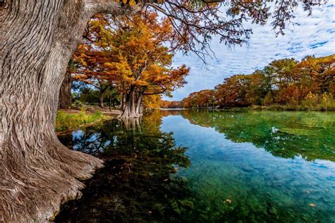 Ultimate Guide to Frio River Tubing in Texas