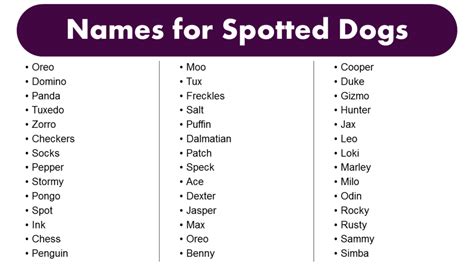 Names for Spotted Dogs - Best Spotted Dogs Name Ideas - GrammarVocab