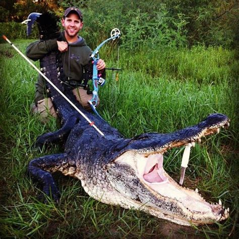 Florida Alligator Hunting Guide, Outfitter, Booking Agent