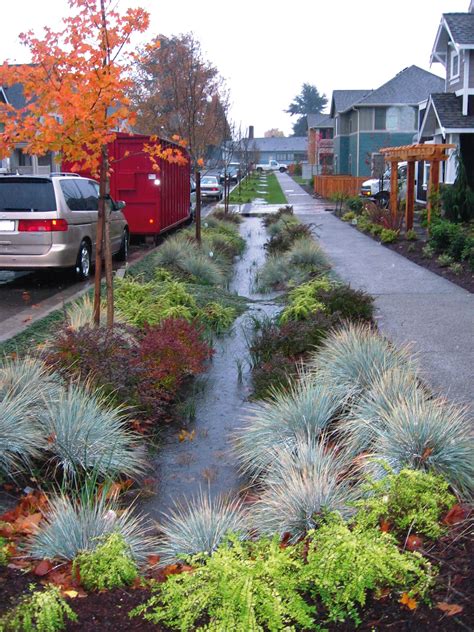 Bioretention Maintenance and Inspections - What You Need To Know | Bluegrass Lawncare