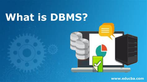 Demystifying DBMS: Guide to Database Management Systems