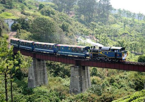 Nilgiri Mountain Railway services to resume from December 31 - The Hindu