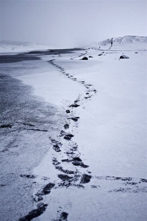 Footprints in snow | Background, Background pictures, Background images