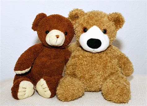 Free picture: teddy bear, doll, plush, toy