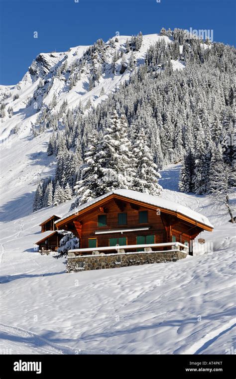 High Alpine swiss chalet covered in winter Stock Photo - Alamy