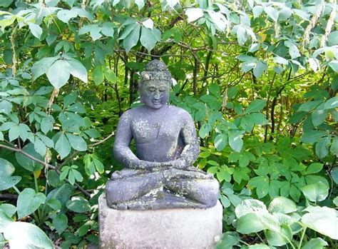 A Garden Buddha | Stanley Zimny (Thank You for 47 Million views) | Flickr