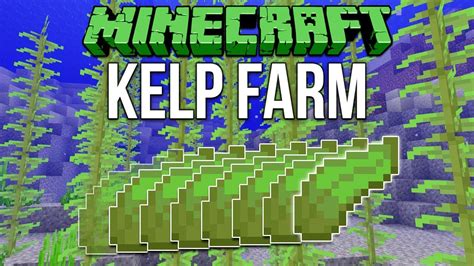 Minecraft 1.13 Super Simple Kelp Farm Tutorial (Snapshot 18w14b) - YouTube