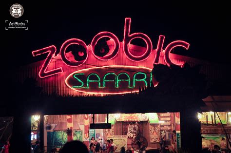 Experience the Thrilling Zoobic Night Safari and be Up Close with the ...