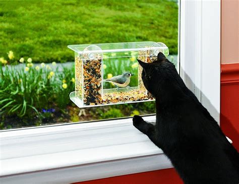 Duncraft One-Way Magic Mirror Window Bird Feeder » Gadget Flow