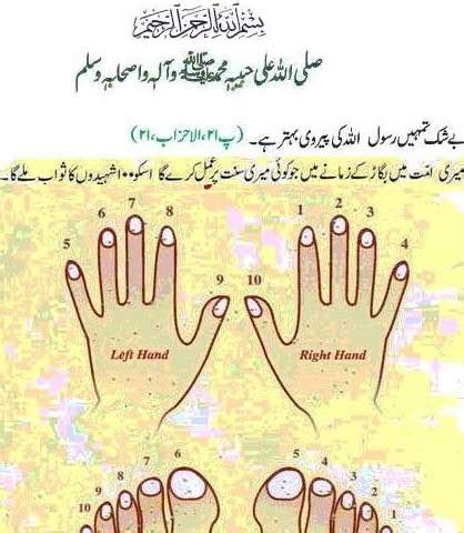 The Sunnah Way of Cutting the Nails | Iman Islam - Islamic Education