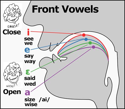 Front Vowel Sounds | English in Vancouver